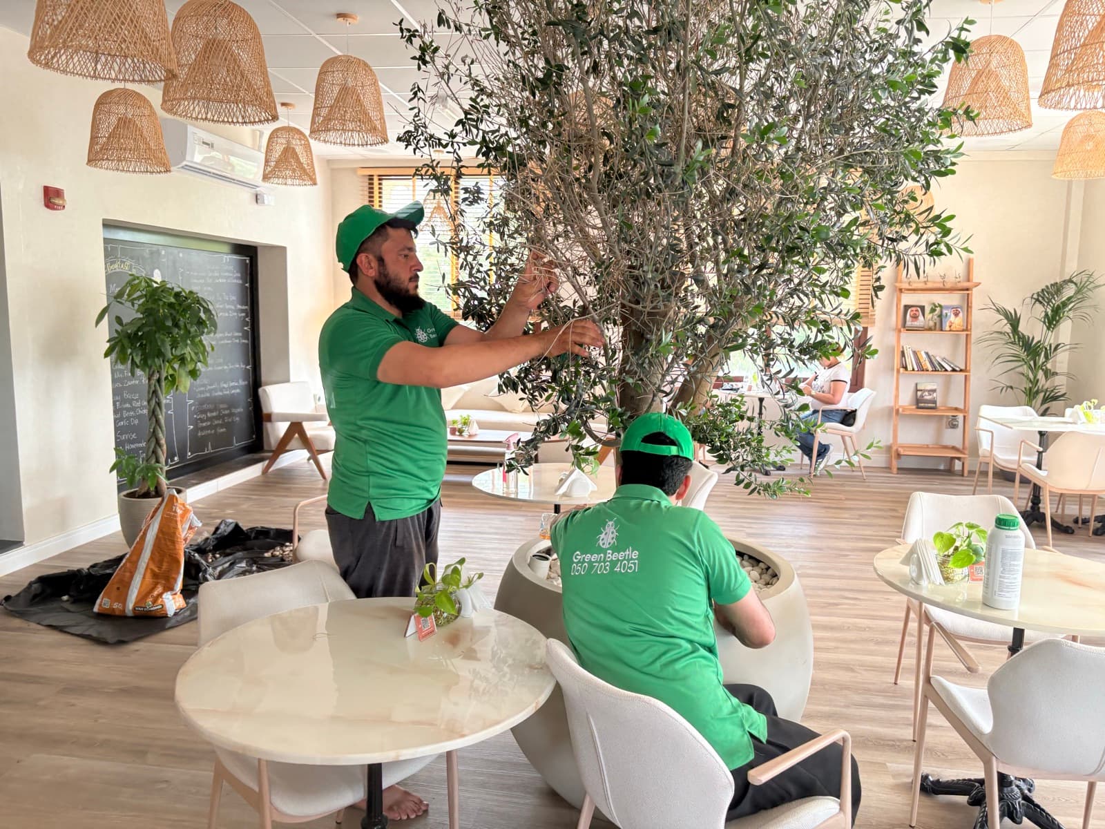 Tree pruning, restaurant