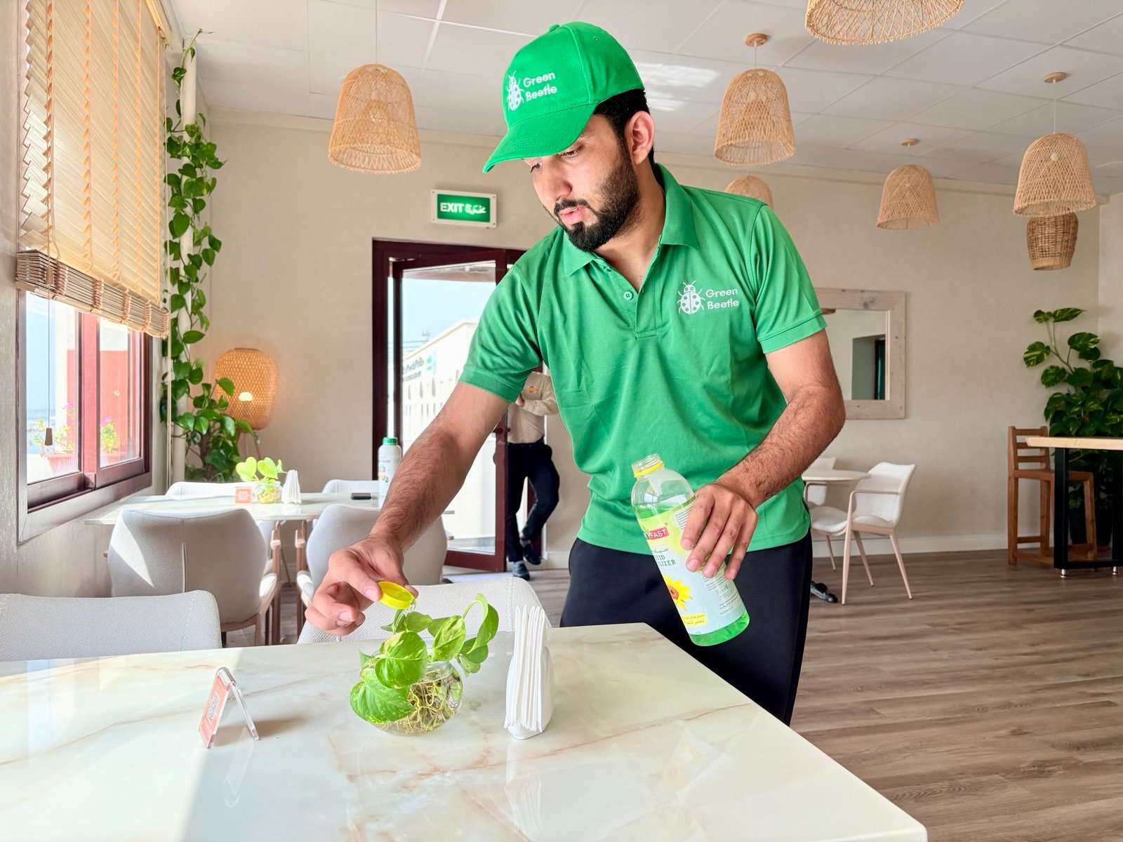 Plant feeding, restaurant table