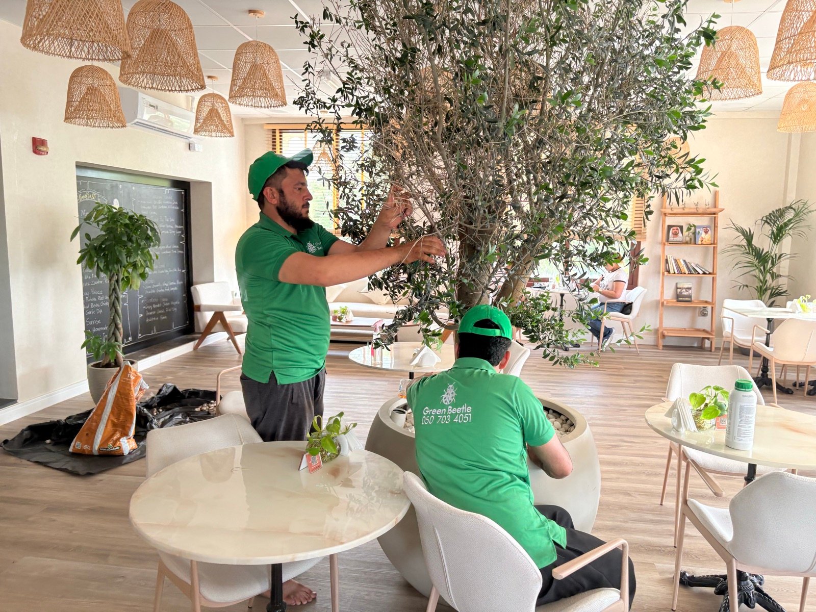 Tree pruning, restaurant